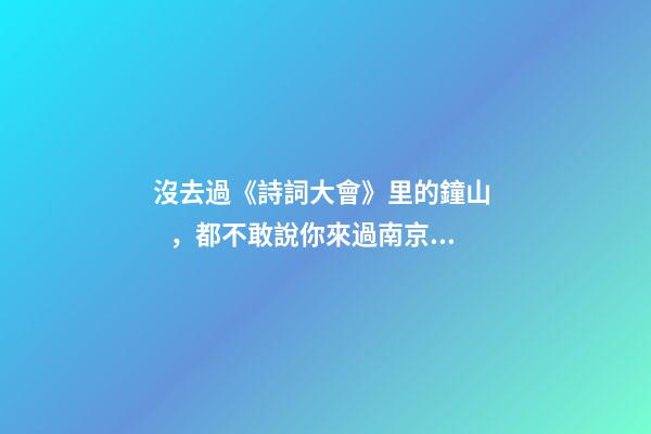 沒去過《詩詞大會》里的鐘山，都不敢說你來過南京！